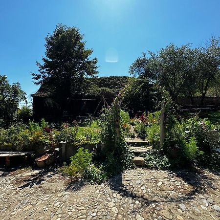 Saschiz 175 Guesthouse Екстериор снимка