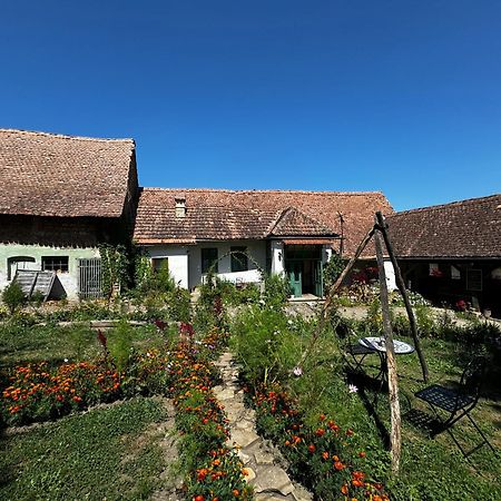 Saschiz 175 Guesthouse Екстериор снимка