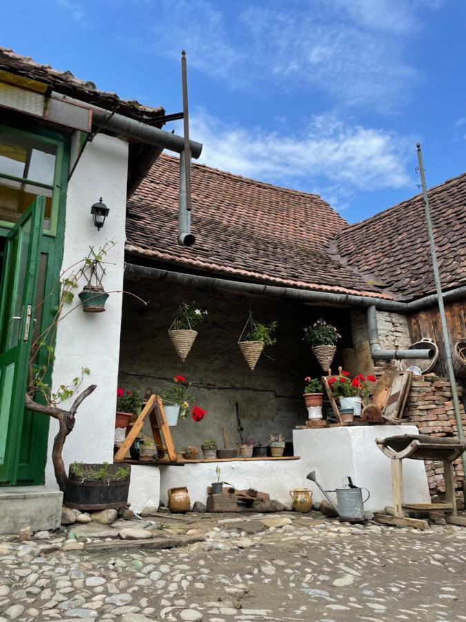 Saschiz 175 Guesthouse Екстериор снимка