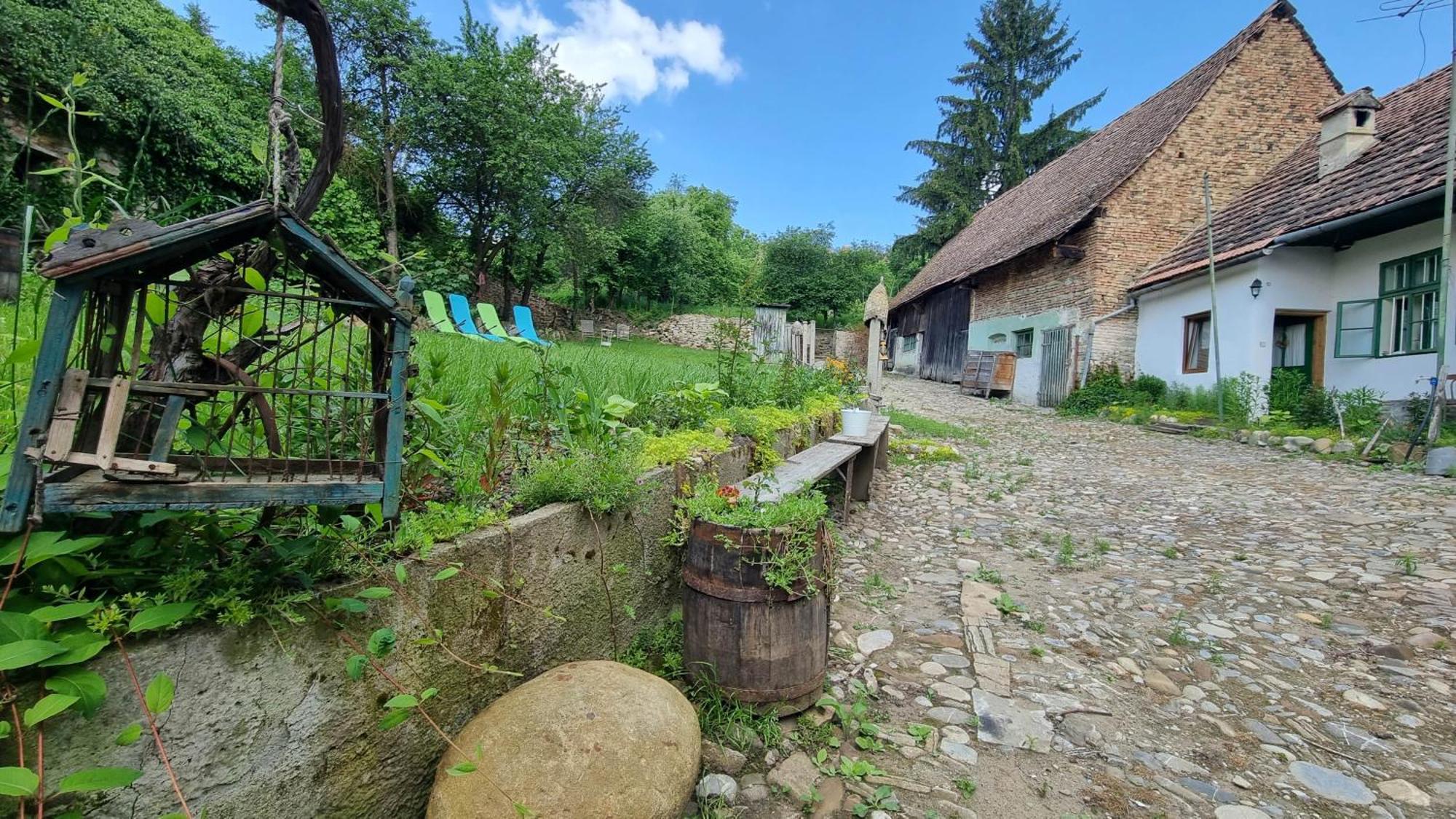 Saschiz 175 Guesthouse Екстериор снимка