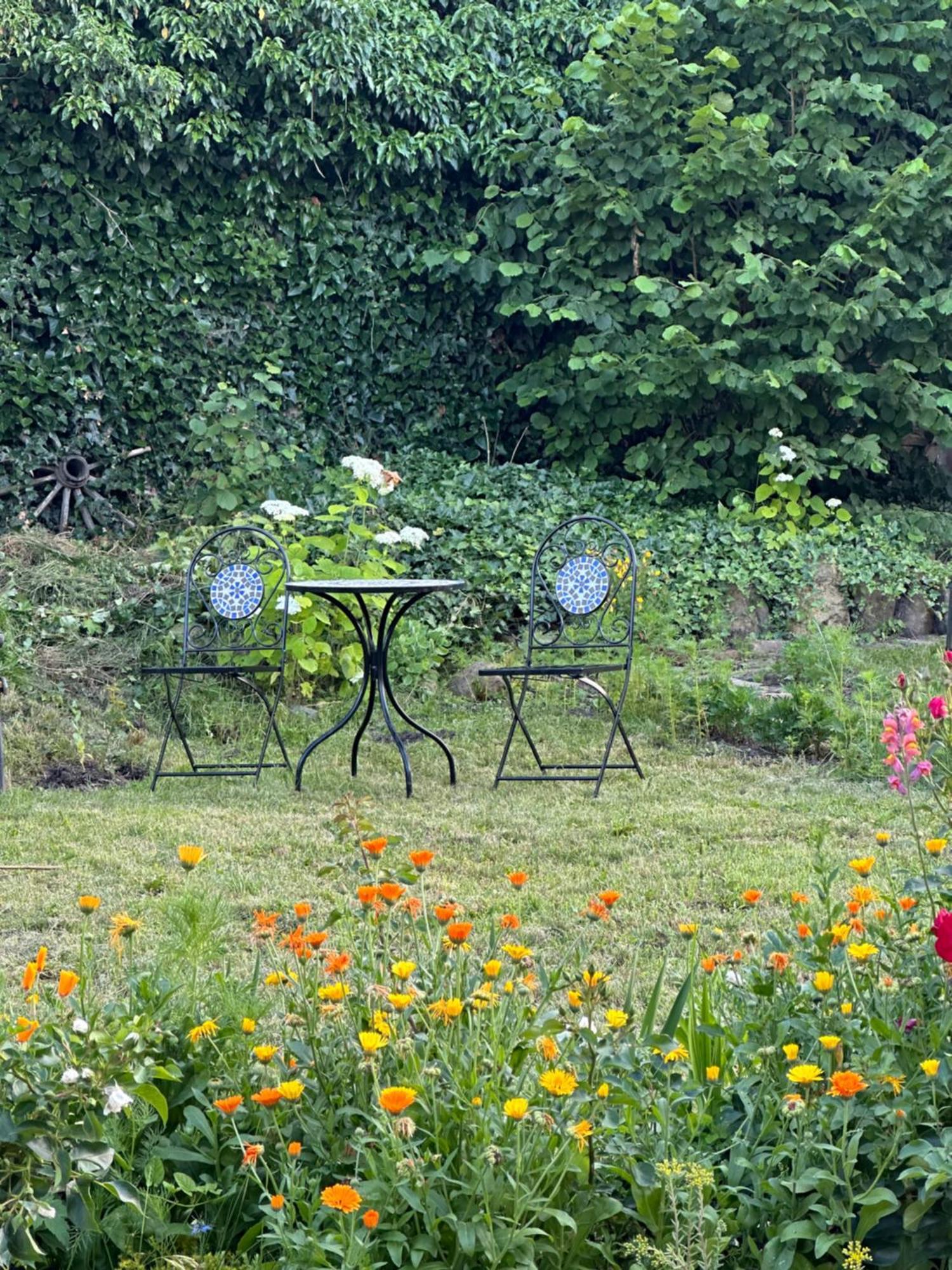 Saschiz 175 Guesthouse Екстериор снимка