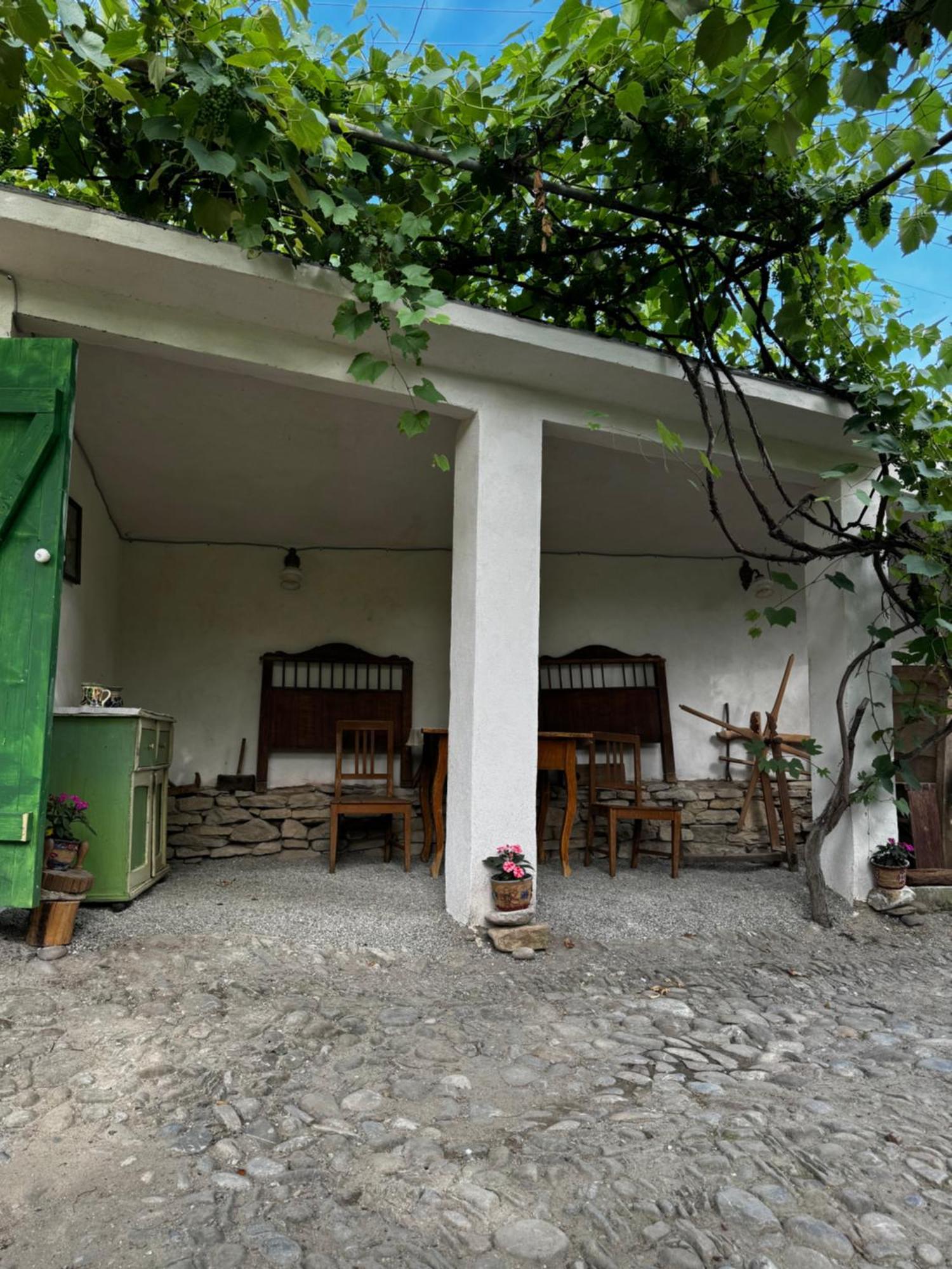 Saschiz 175 Guesthouse Екстериор снимка