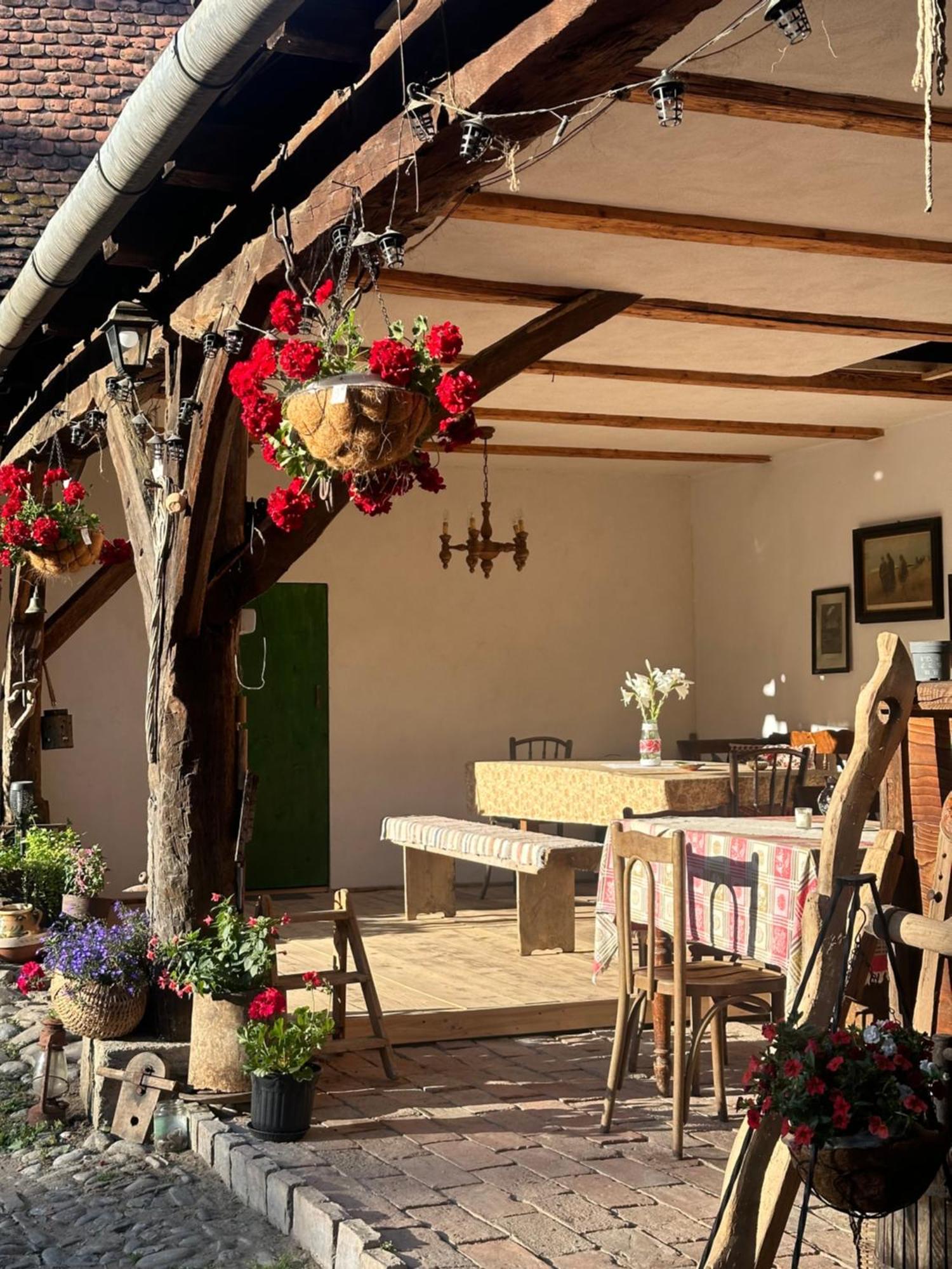 Saschiz 175 Guesthouse Екстериор снимка