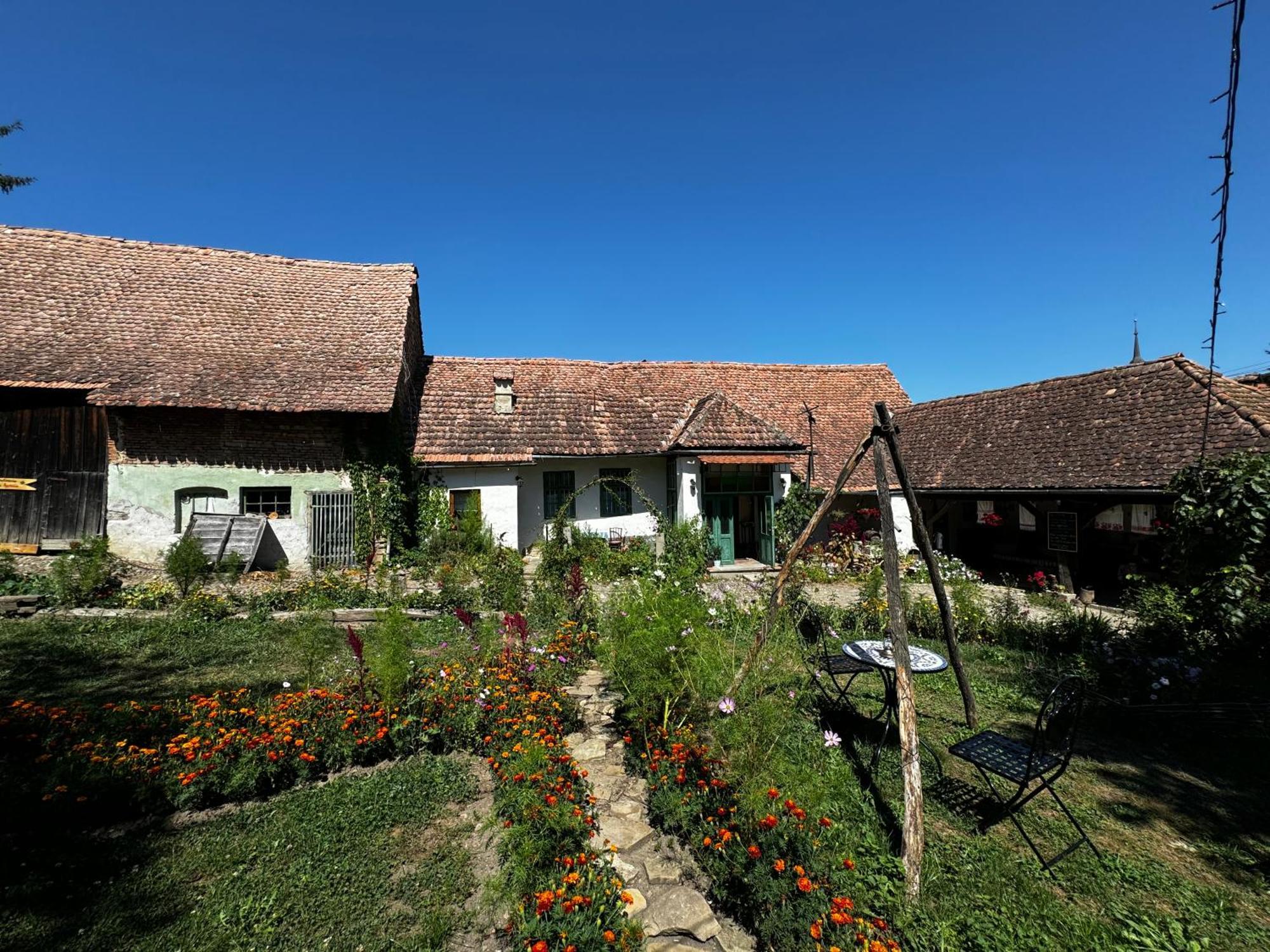 Saschiz 175 Guesthouse Екстериор снимка